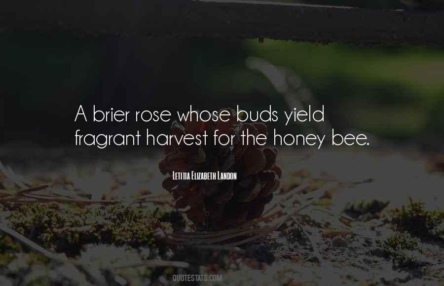 Honey Bee Quotes #1794191