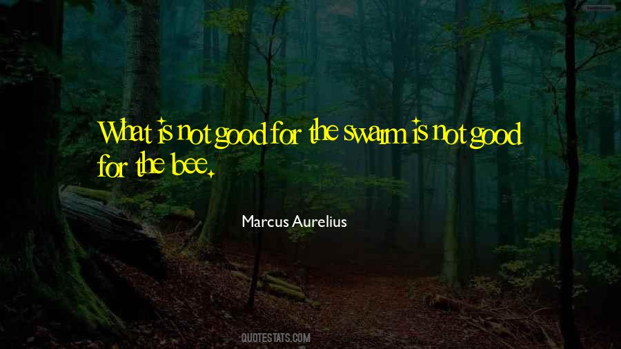 Honey Bee Quotes #616868