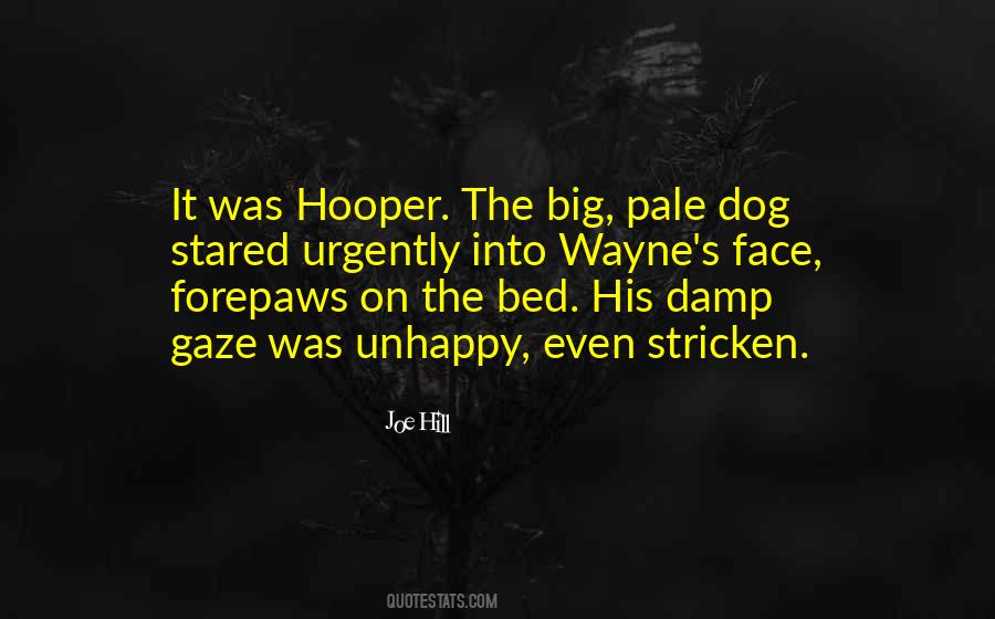 Hooper Quotes #636468