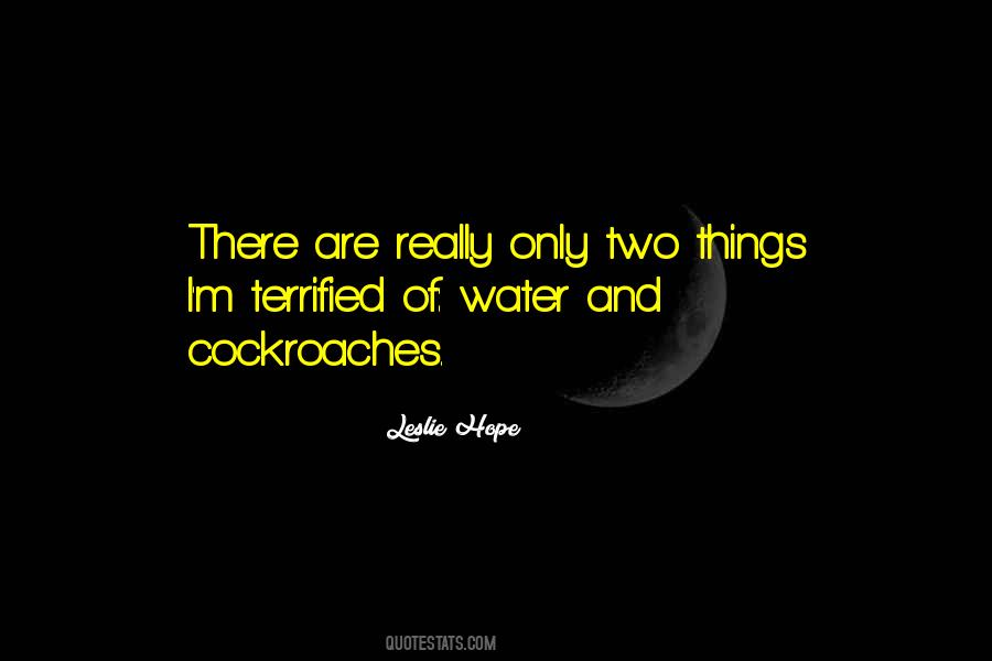Hope Leslie Quotes #253299