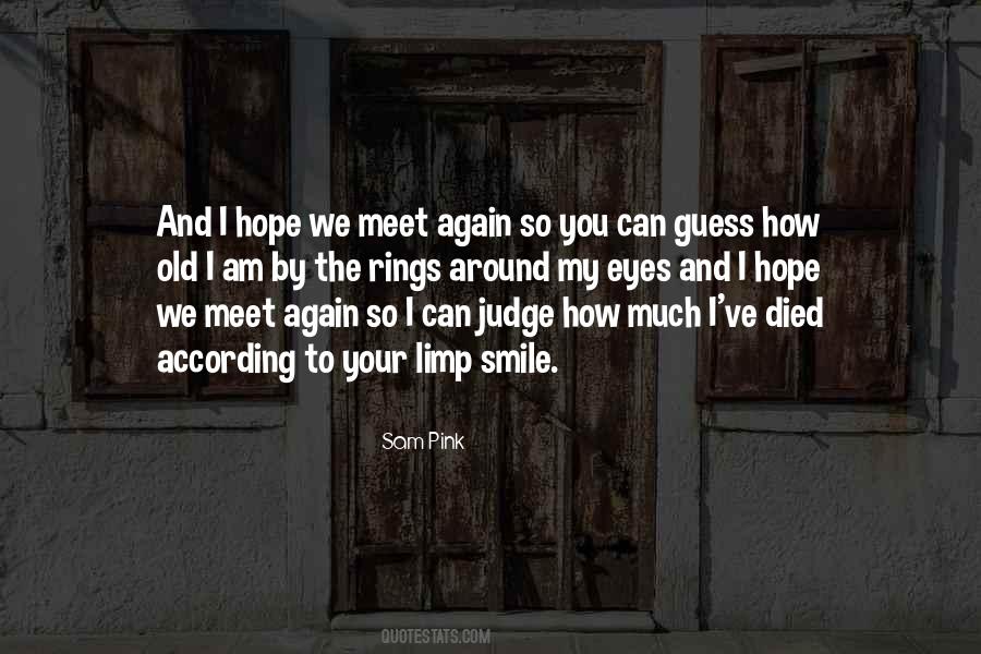 Hope We Meet Again Quotes #1026369