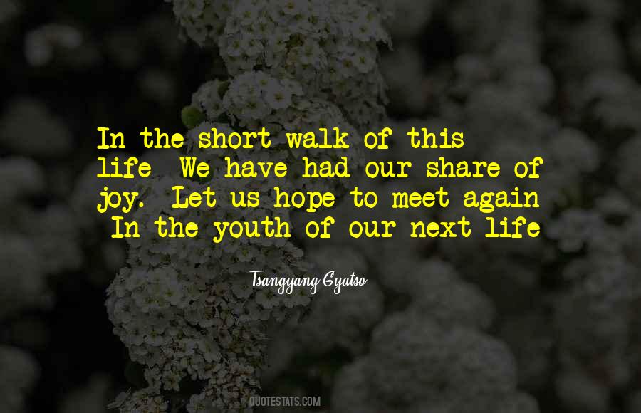 Hope We Meet Quotes #101871