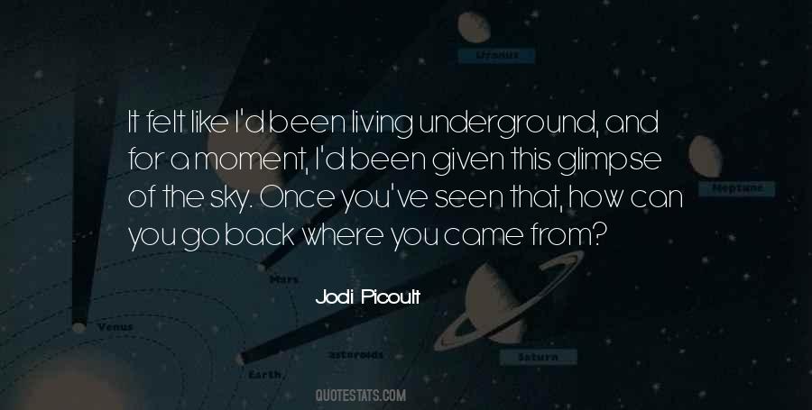 Hope You Like It Quotes #556129