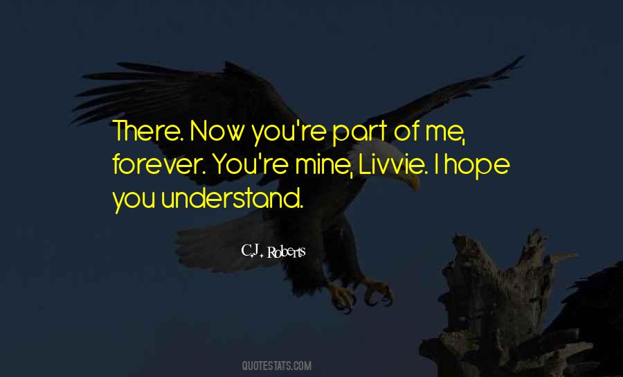 Hope You Understand Me Quotes #1041580