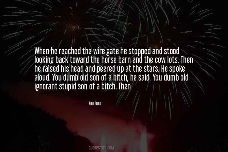 Horse Barn Quotes #1606351