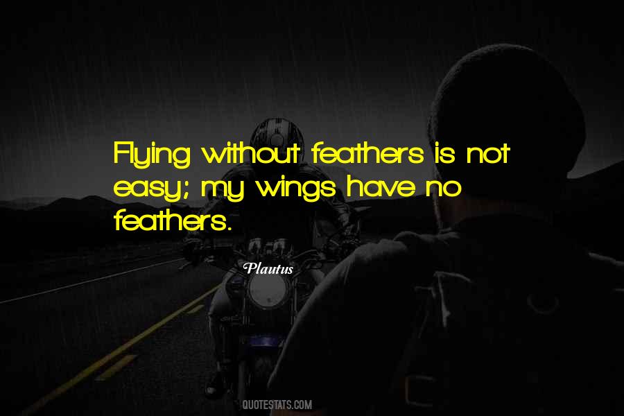 Quotes About Flying Wings #1232372