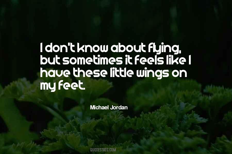 Quotes About Flying Wings #420723