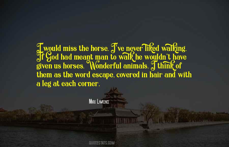 Horse Hair Quotes #1744134