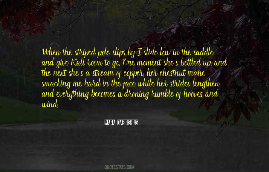 Horse Mane Quotes #962447