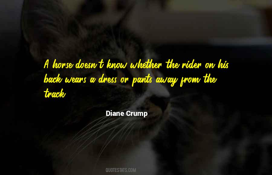 Horse Rider Quotes #77652