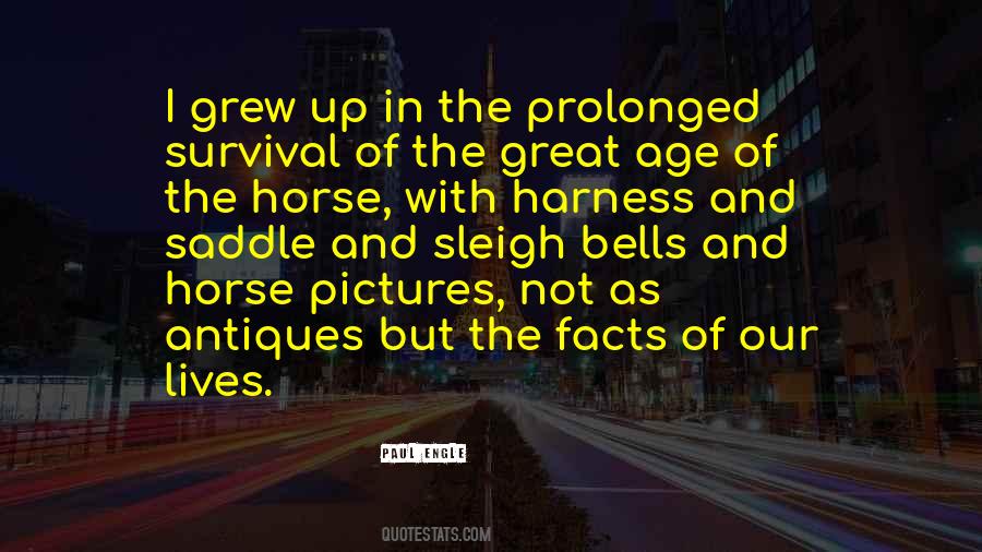 Horse Saddle Quotes #1528922