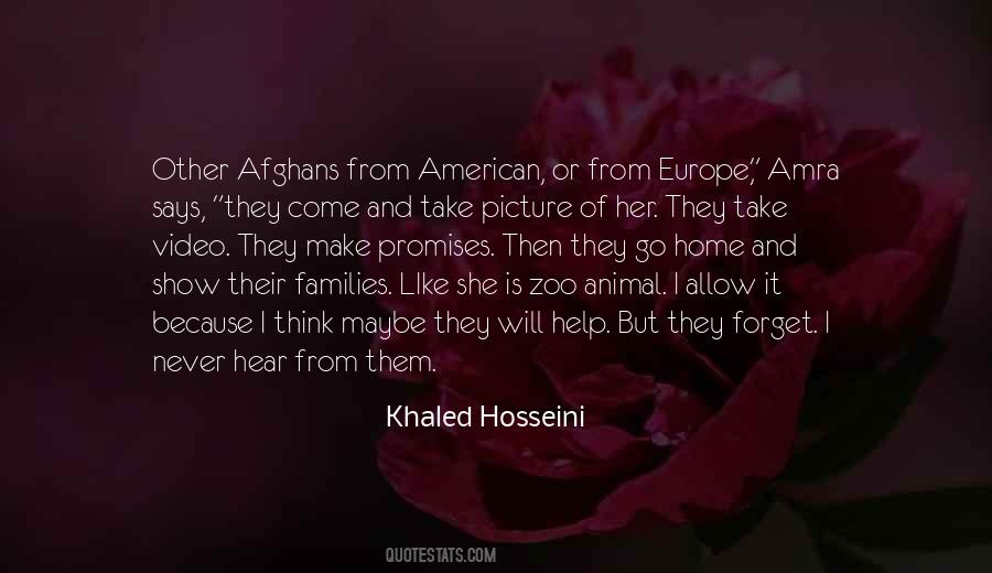 Hosseini Quotes #367422