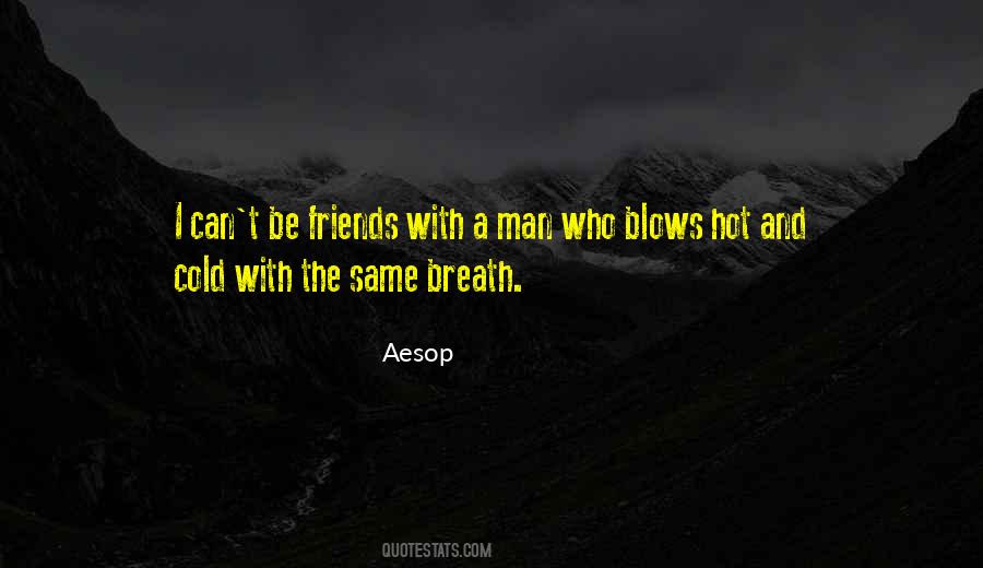 Hot And Cold Friends Quotes #1245027