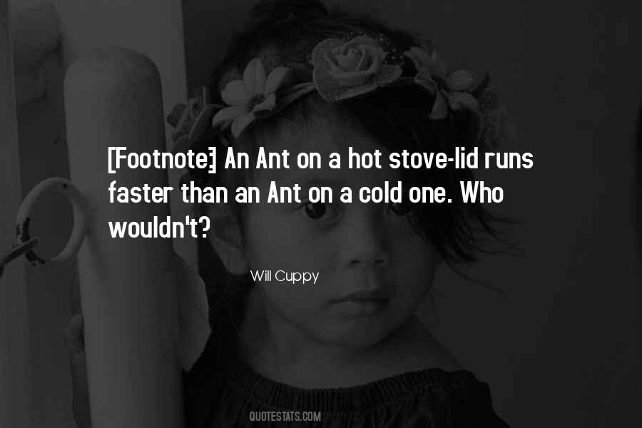 Hot Stove Quotes #1597970