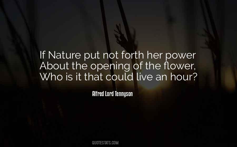 Quotes About Flower #11713 Quotes About Flower #11713
