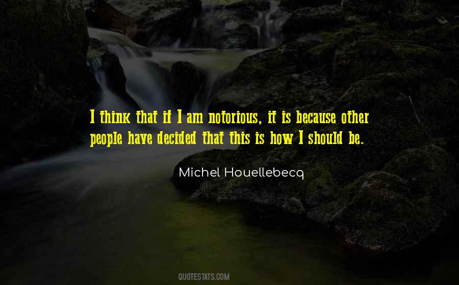 Houellebecq Quotes #408295