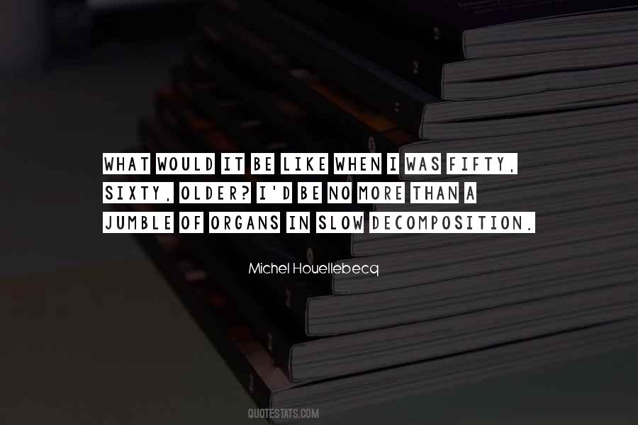 Houellebecq Quotes #904792