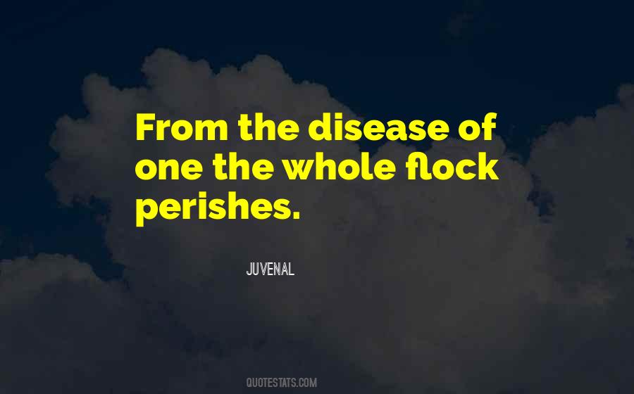 Quotes About Flocks #750757