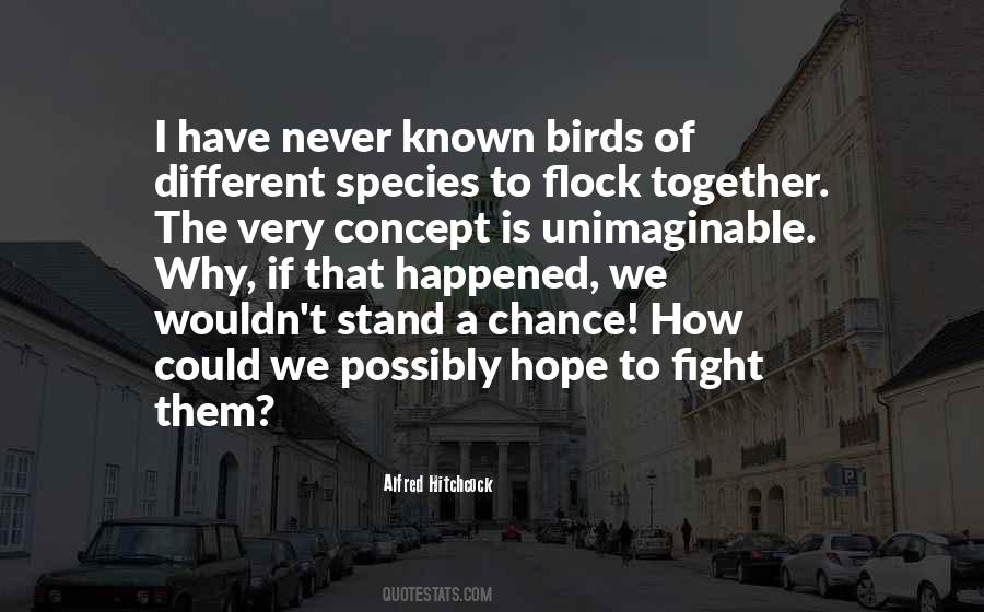 Quotes About Flock Of Birds #777075