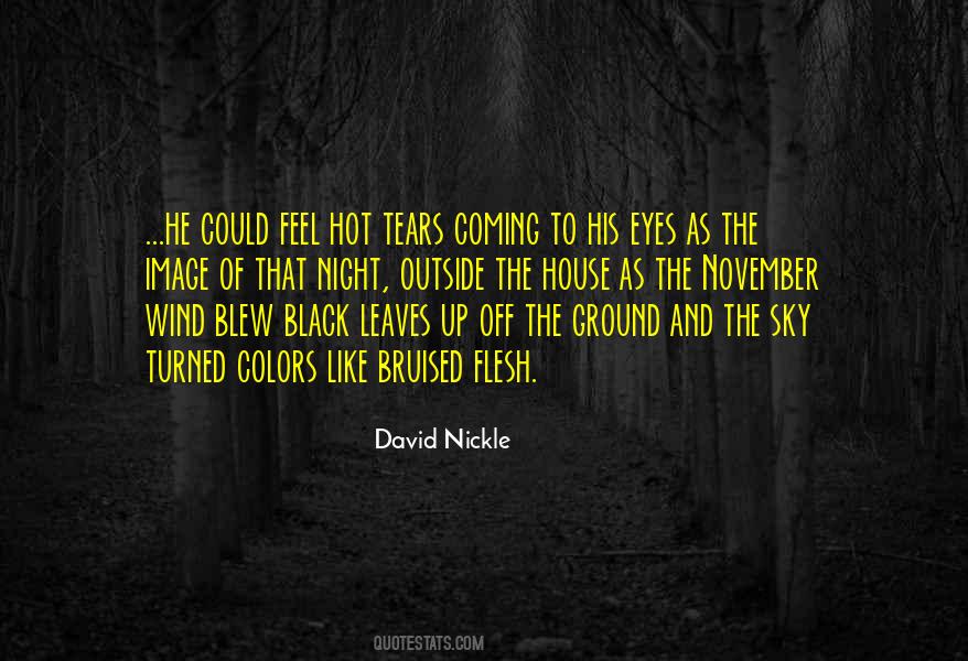 House Of Leaves Quotes #677536