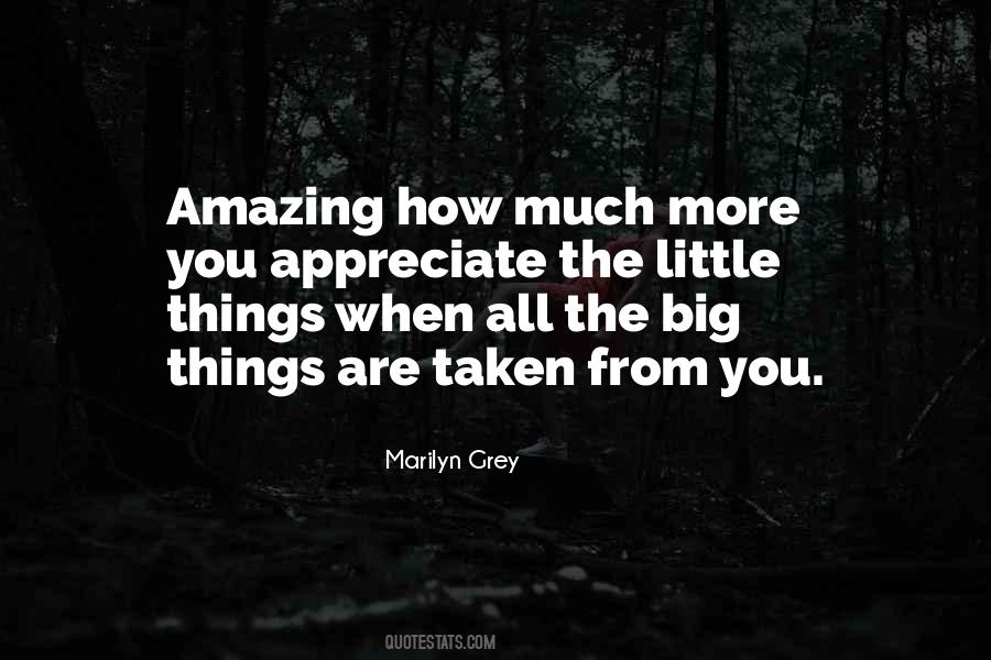 How Amazing You Are Quotes #1335306