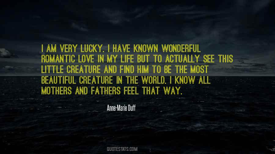 How Did I Get So Lucky To Find You Quotes #324886