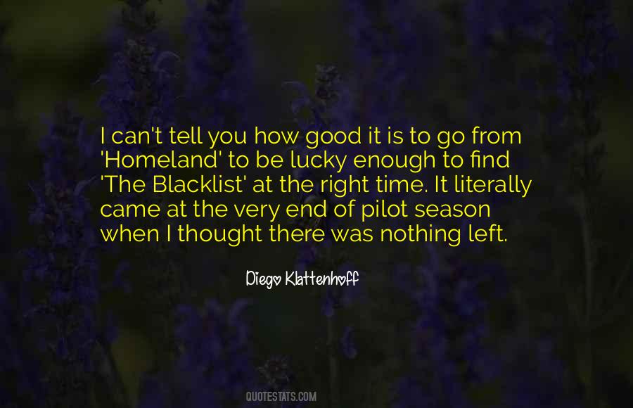 How Did I Get So Lucky To Find You Quotes #359722