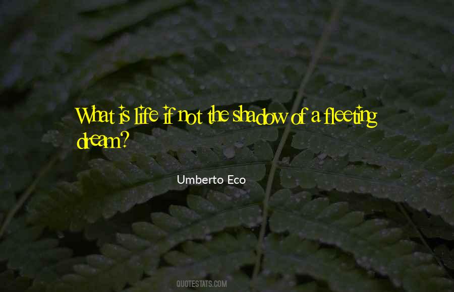 Quotes About Fleeting Life #329138