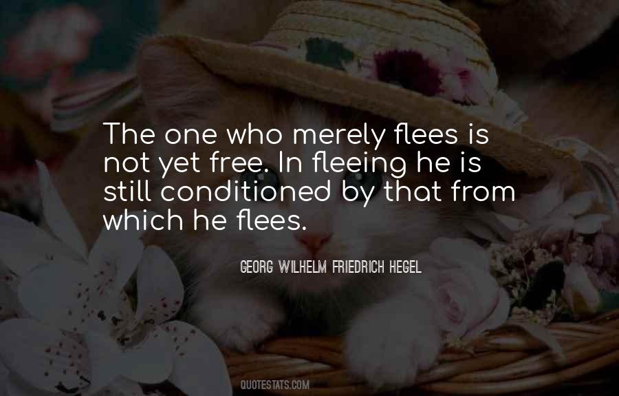 Quotes About Flees #590547