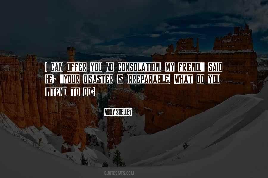 Quotes About The Camino De Santiago #1126895