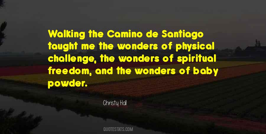 Quotes About The Camino De Santiago #89990