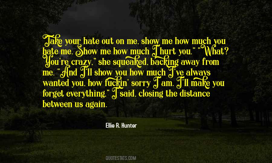 How You Hurt Me Quotes #253468