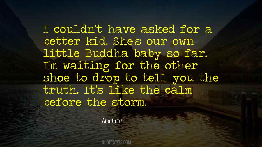 Quotes About The Calm Before The Storm #363387