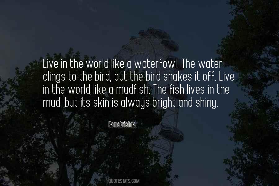 Quotes About Fish And Water #870442