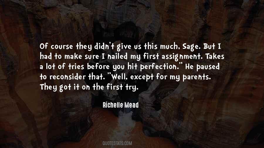 Quotes About First Tries #1300160