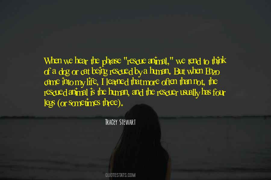 Human And Animal Quotes #359352