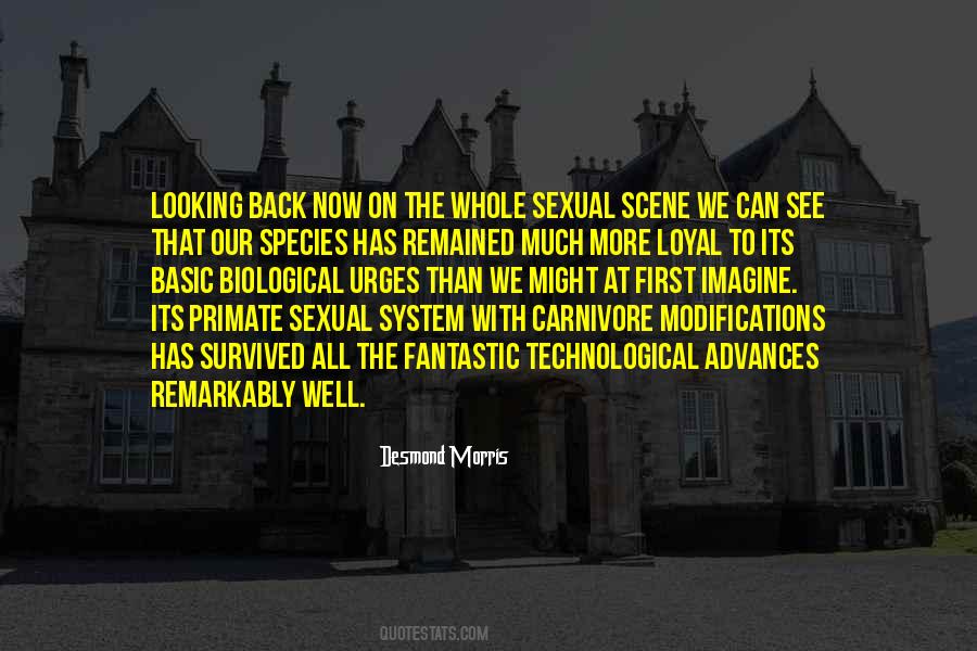 Quotes About First Sex #747390