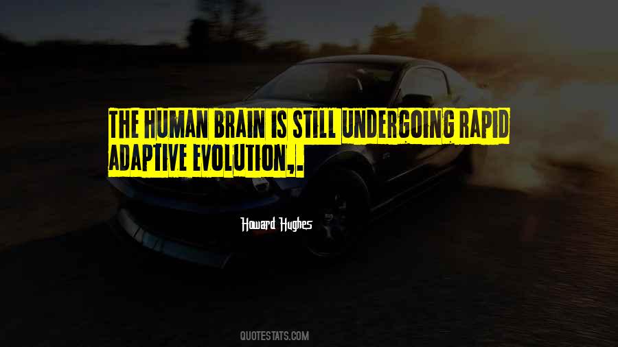 Human Brain Evolution Quotes #1204197