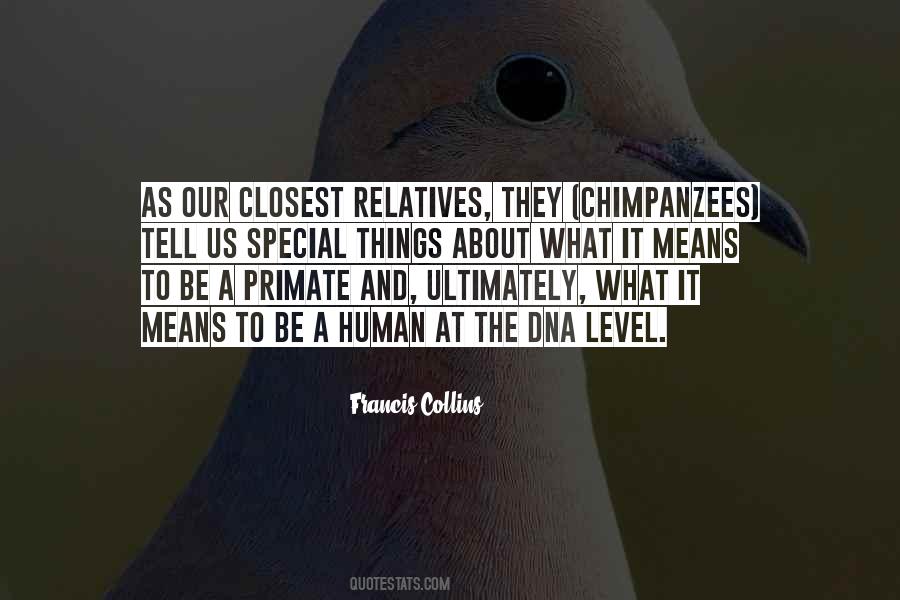 Human Primate Quotes #306425
