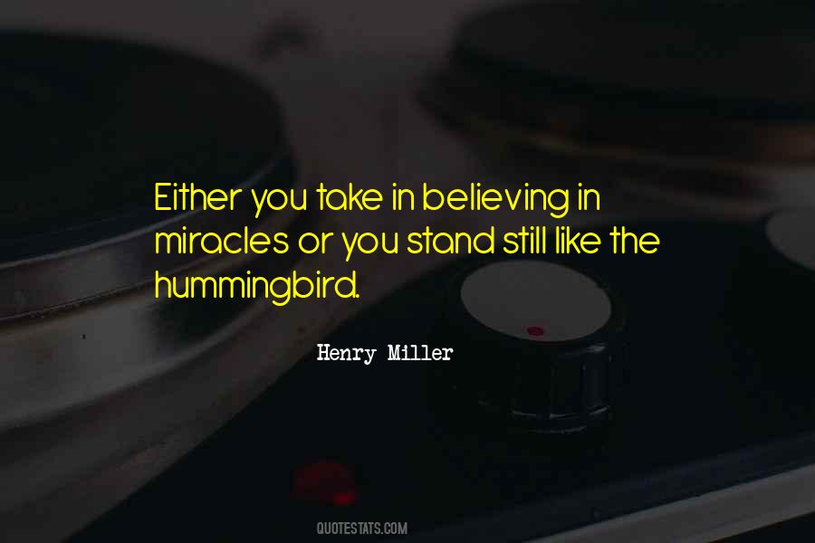 Hummingbird Quotes #241701