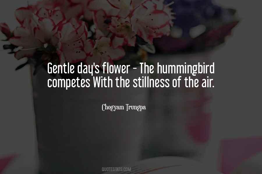 Hummingbird Quotes #292102