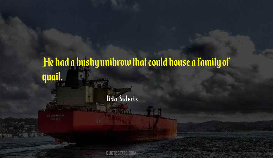 Humorous Family Quotes #613143