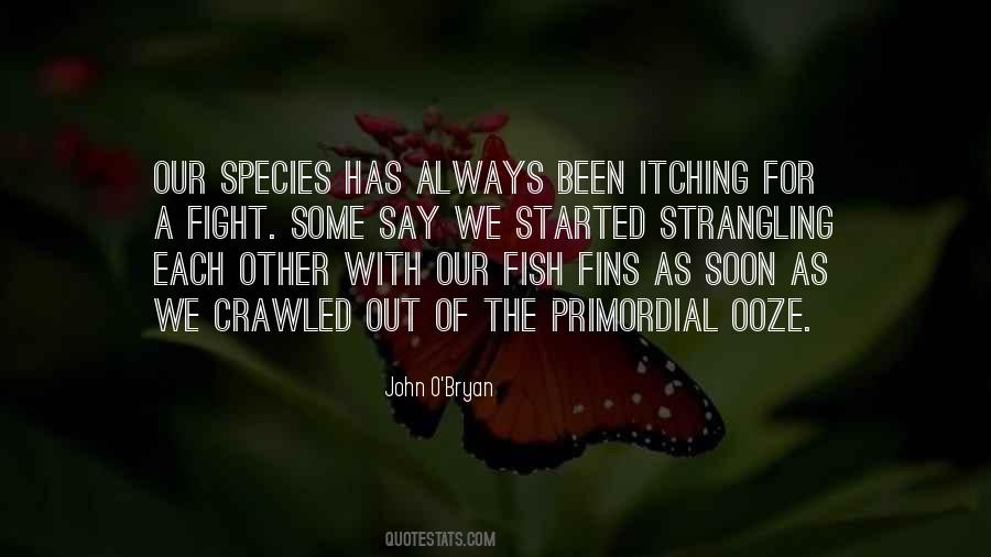 Quotes About Fins #255622