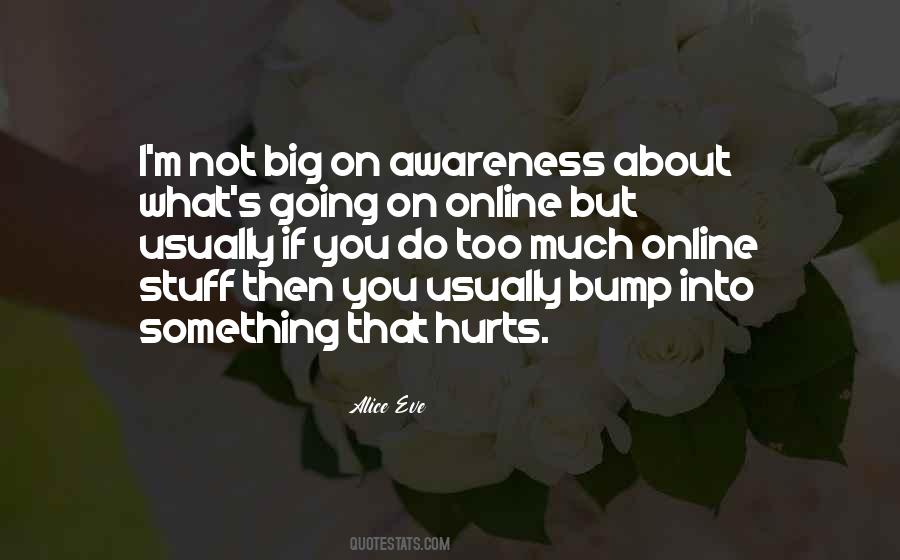 Hurt Before Quotes #15668