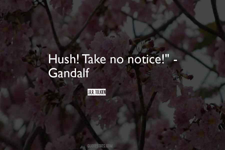 Hush Quotes #196885