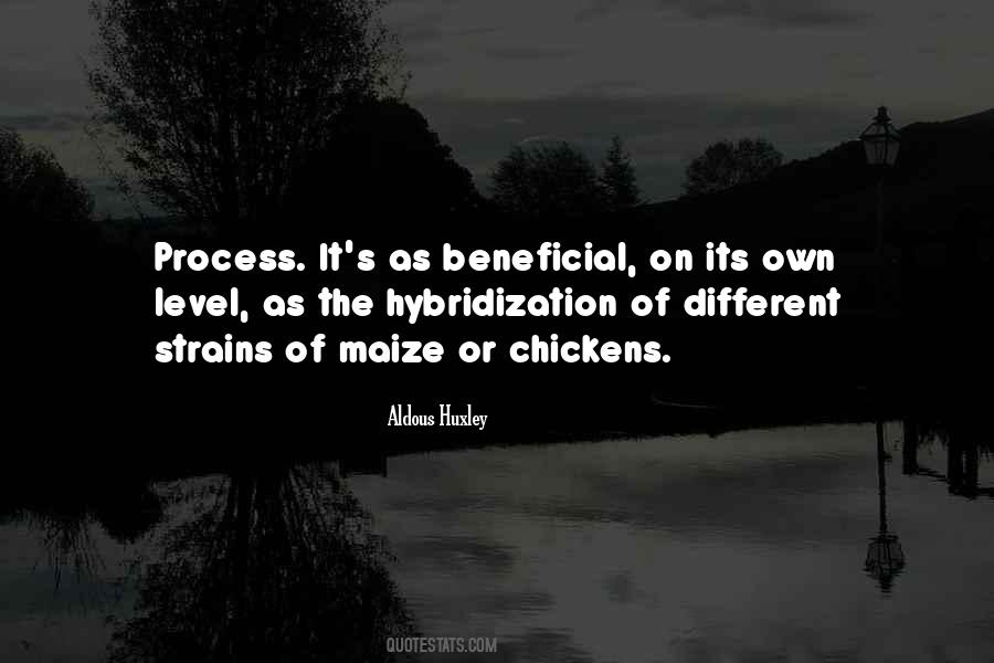 Hybridization Quotes #1862413