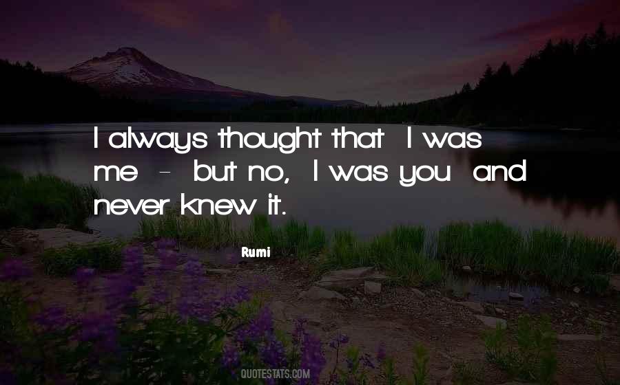 I Always Knew It Was You Quotes #433474