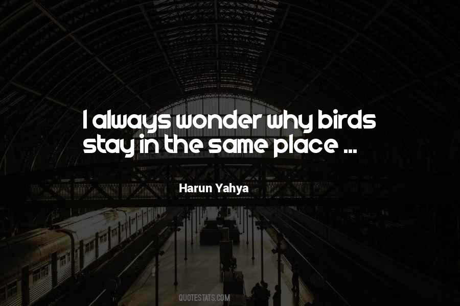 I Always Wonder Quotes #1560643