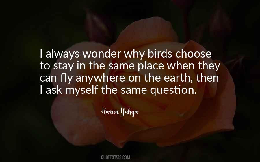 I Always Wonder Quotes #446339