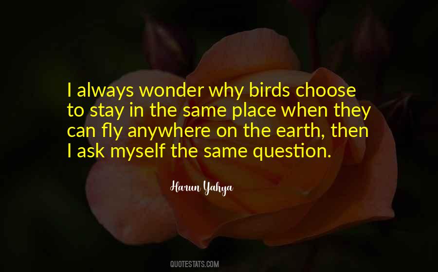 I Always Wonder Why Birds Quotes #446339